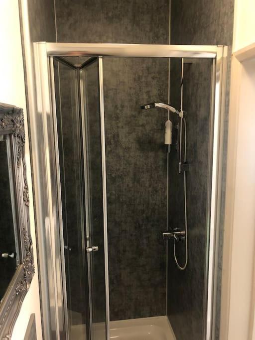 Newly Renovated Modern Studio Apartment بينزانس المظهر الخارجي الصورة